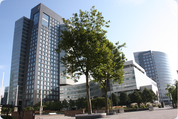 bomen centrum avond